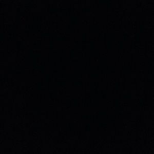 Meet your Posher, Jacqueline